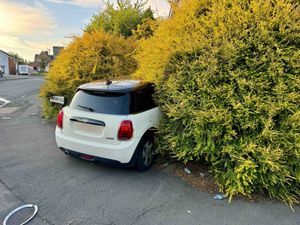 Supporting image for story: Three arrests after Mini crashes into bush and police find drugs and knife 