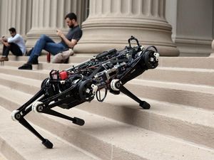 Supporting image for story: This ‘blind’ robot dog can climb stairs without any help from visual sensors