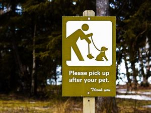 Supporting image for story: Some people in New York just committed a major faux-pas involving dog poo