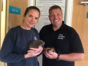Supporting image for story: Owners of Shropshire's Cuan Wildlife Rescue honoured by Prime Minister