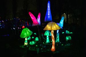 The #LoveTheReans Festive Lightwalk brings together artists, technicians, young people and community volunteers.