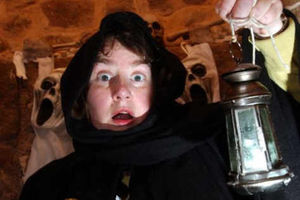 Supporting image for story: Ghost tours on offer at Whittington Castle, Oswestry