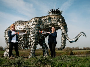 Supporting image for story: UK's first educational extinction trail being created in Shropshire
