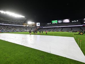 Supporting image for story: England clinch T20 series win over New Zealand with Auckland washout