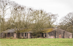 3. Dave Collier - Arboreal Encroachment