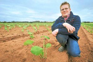 The young entrepreneur planted the crop over the Diamond Jubilee Weekend