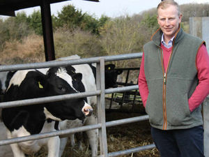 Supporting image for story: Far East upturn in milk sales may save struggling Shropshire dairy farmers, claims NFU