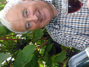 Supporting image for story: Founder of Wroxeter Roman Vineyard dies with coronavirus