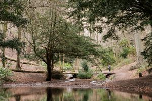 The Rectory Wood and Field in Church Stretton has now been recognised as Shropshire's newest local nature reserve