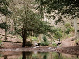 Supporting image for story: Woodland in South Shropshire named 'least stressful spot in England' closes for £50,000 renovation