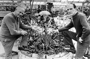 1986: Horticulturist and broadcaster Percy Thrower, left, and his business partner Duncan Murphy show off some of their orchids at the Percy Thrower Gardening Centre, Shrewsbury.