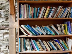 Supporting image for story: Land exchange deal to preserve Blackheath library