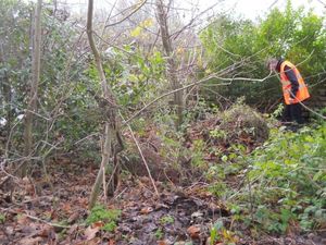 Supporting image for story: Hundreds object to plan for houses next to Telford park