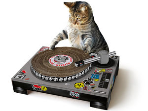 Supporting image for story: Pets gifts: From automatic feeders, to a Nerf gun and vacuum robot - see our tried-and-tested guide