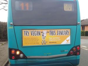 Supporting image for story: Bus campaign should have been embraced