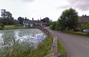 Badger straddles the Shropshire and south Staffordshire border