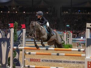 Supporting image for story: Fighter jet technology used to improve transportation of competition horses