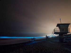 Supporting image for story: Beaches in San Diego are lighting up blue: Here’s why