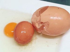 Supporting image for story: Check out this amazing giant egg which had a smaller egg hidden inside