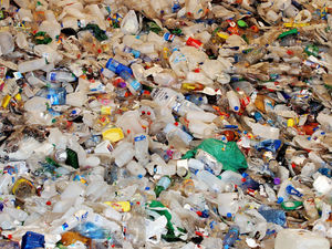 Supporting image for story: Shropshire Star comment: Plastic nightmare is ruining our future