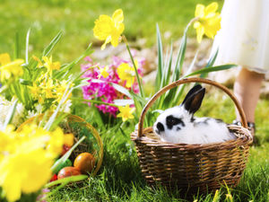 Supporting image for story: Easter 2020: Test your knowledge on Easter traditions across the world - quiz