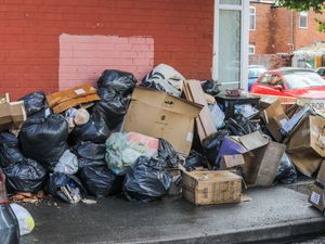 Supporting image for story: Still no ‘clear timeline’ for roll out of fortnightly bin collections as strikes continue