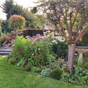 Supporting image for story: 12 Powys gardens open in May for National Garden Scheme