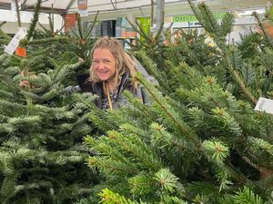 Compton Care's Treecycling campaign has been supported by Wolverhampton Council