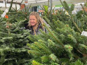 Supporting image for story: Compton Care treecycling scheme gets support of Wolverhampton Council