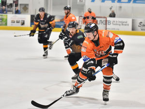 Supporting image for story: Telford Tigers seek a response