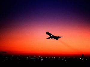 Supporting image for story: Snakes on a plane – almost – as reptiles found hidden in passenger’s trousers