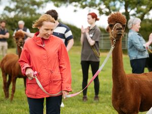 Supporting image for story: Who deserves a Countryside Alliance Award in Shropshire? MP urges residents to nominate local businesses