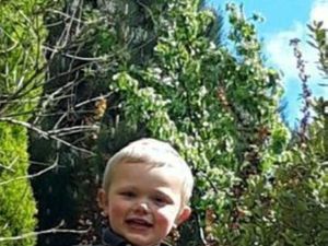 Supporting image for story: Two charged over three-year-old boy’s dog attack death