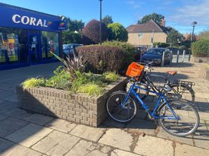 Supporting image for story: Plants freshen up Shrewsbury shopping area with splash of colour