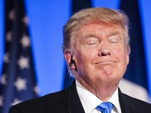 Supporting image for story: Here’s what Donald Trump has said the Mexico border wall might look like