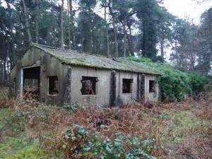 Supporting image for story: Call to save historic RAF buildings at Shropshire airfield earmarked for demolition