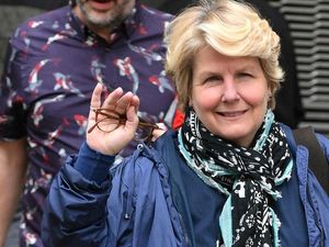 Supporting image for story