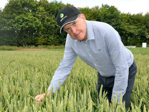 Supporting image for story: Agronomist offers tips after winter wheat drilling delays