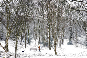 Snow on Ercall Lane near the bottom of the Wrekin