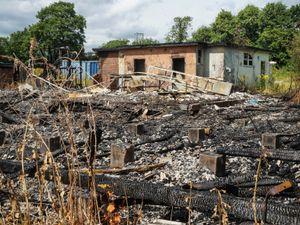 Supporting image for story: Grass fire yobs wreak havoc with six deliberate blazes a day