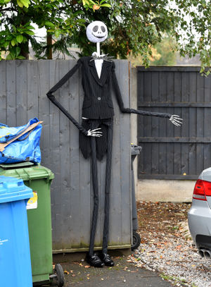 One entrant has taken inspiration from Tim Burton's 'The Nightmare Before Christmas'