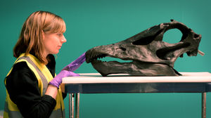 Dippy will welcome thousands of visitors to Birmingham over the coming weeks