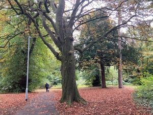 Supporting image for story: Autumn starts to show its true colours