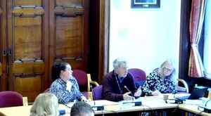 Screen shot from licensing and safety committee on 2 April 2025 
Credit Walsall Council 
Permission for use for LDR partners 