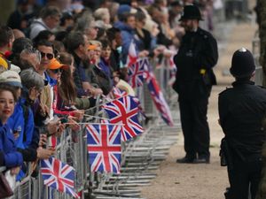 People line the streets in central London to watch the military parade