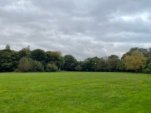 Story: Walsall woodland created to celebrate Queen’s Jubilee under threat
Photo taken by LDR Rachel Alexander October 2024 
Permission for use for LDR partners 
Reedswood Park, Walsall