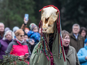 Wolesley Wassail 2026 (photos Ian Knight from Z70 Photography)