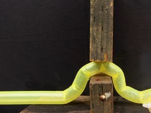 Supporting image for story: Researchers have built a ‘soft robot’ that moves forward like a snake