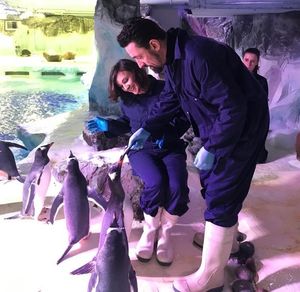 Shirley Ballas at Sea Life Centre Birmingham