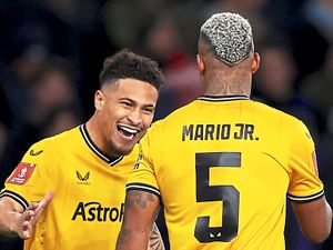 Supporting image for story: Wolves v Crystal Palace: Bruised and battered - but Wolves eye final flourish